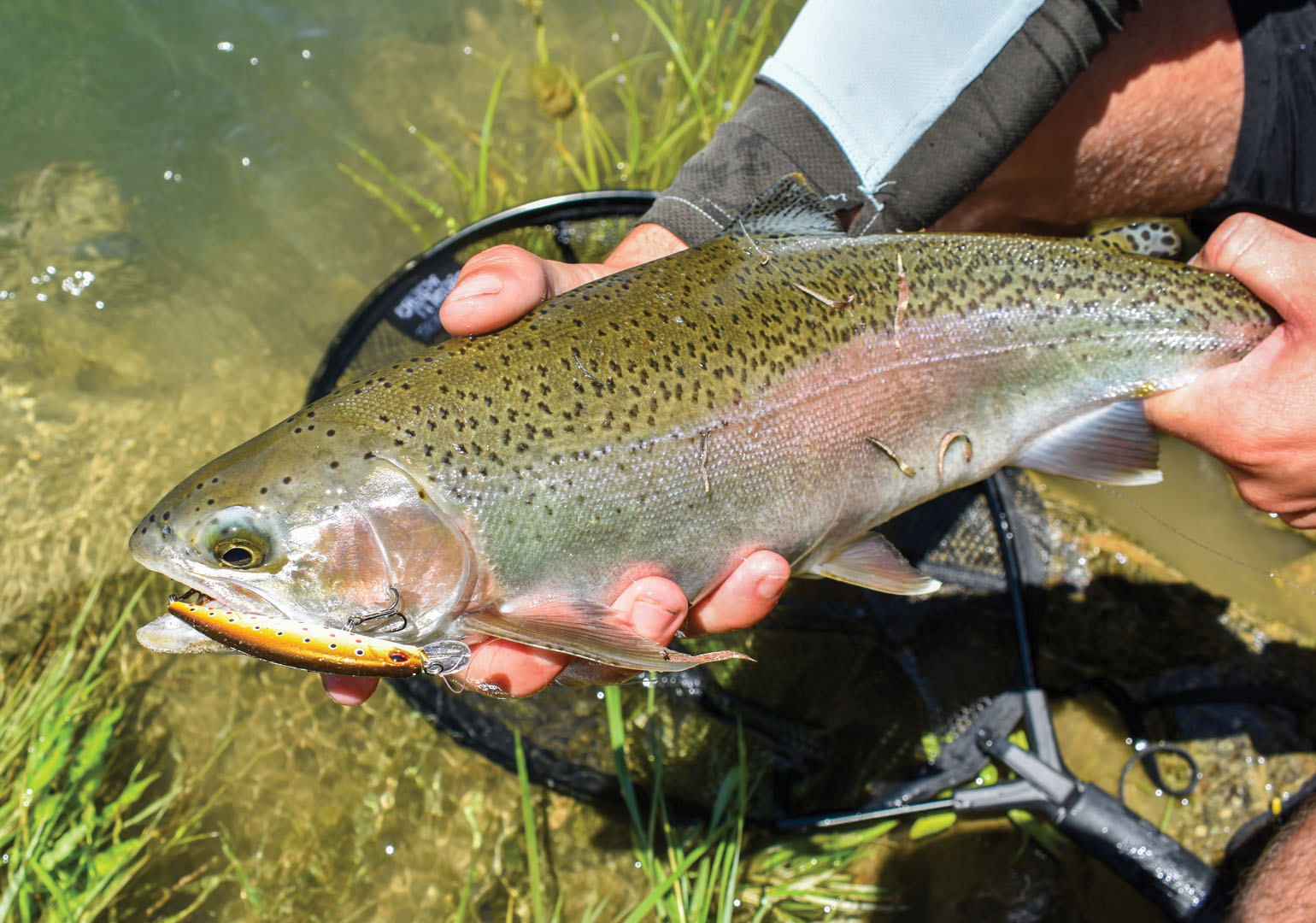 Mastering the Art of Trout Fishing: Choosing the Right Rod插图