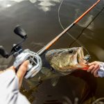 Best Rod for Bass Fishing: Enhancing Your Angling Success