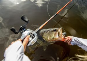 best rod for bass fishing