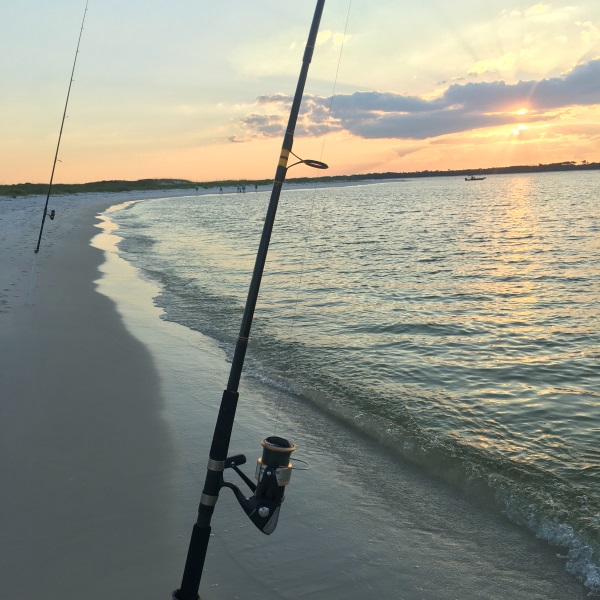 Beach Fishing Rod