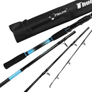 Travel Fishing Rod for Saltwater