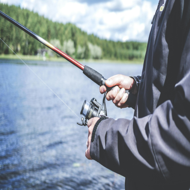 The Best Fishing Rod Brands