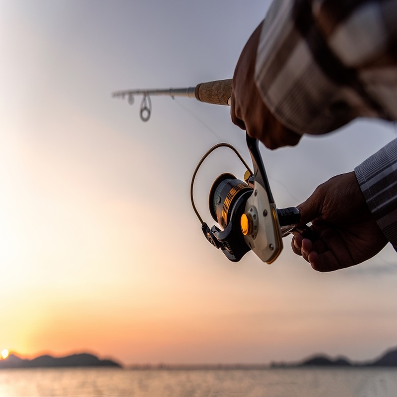 The Best Fishing Rod Brands