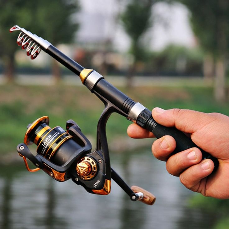 fishing rod for beginners