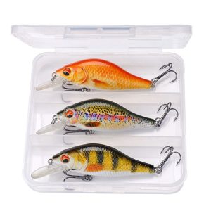 Trout Fishing Lures: How to Choose the Right One