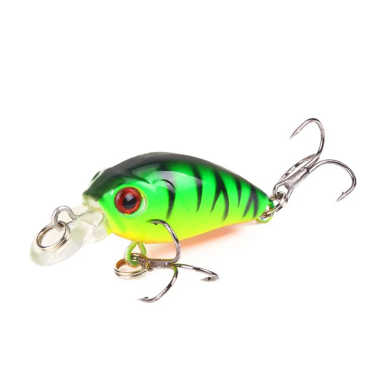 fishing lure